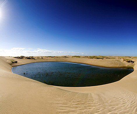 Laguna entre médanos, en la reserva.